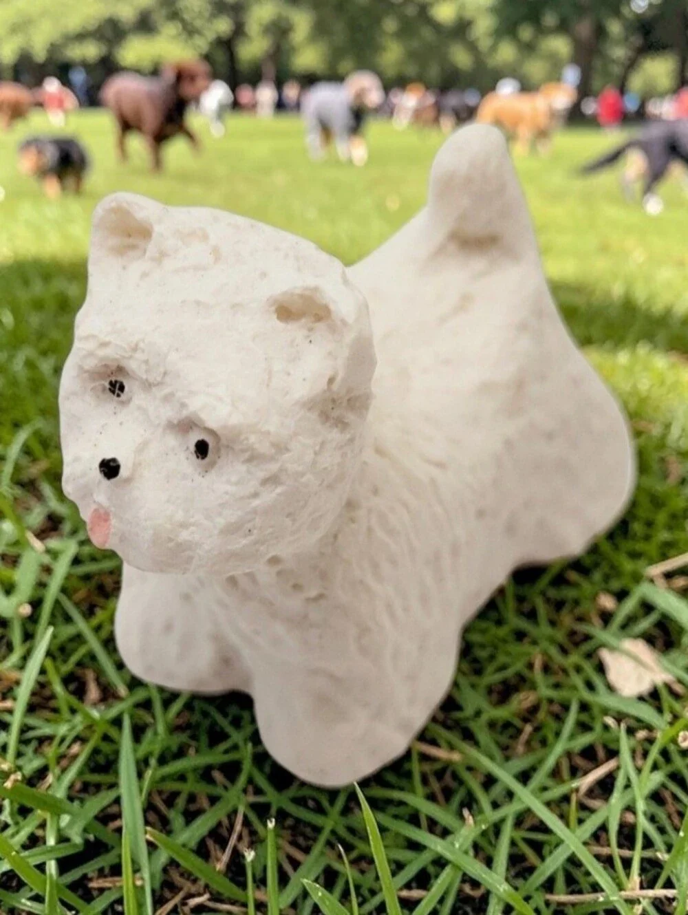 White Westie West Highland Terrier 1